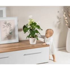 Reer Plantenbeschermingsnet Ø20cm Zwart -Little Wonders Verkoop reer plantenbeschermingsnet o20cm zwart a242204 3